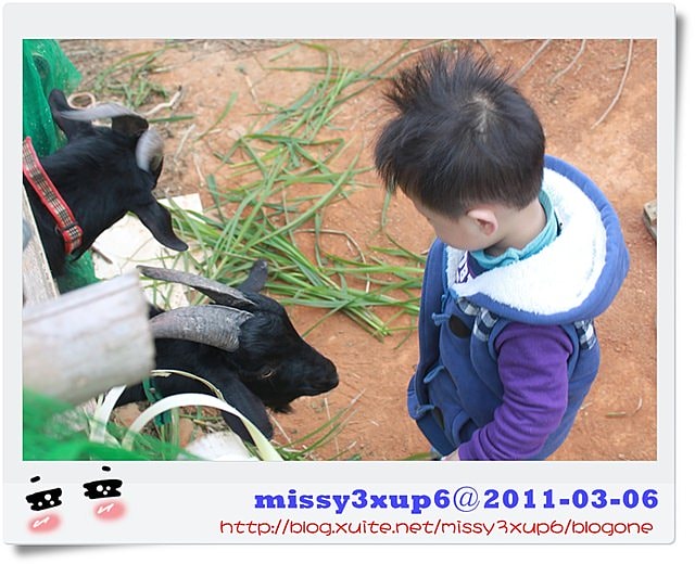 【桓兒】2y 生日快樂，慶生禮物快樂走走篇