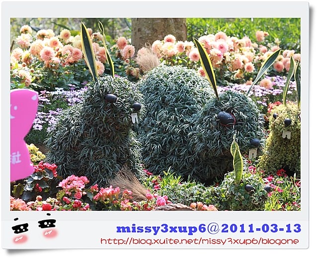 【遊記】我都腿軟了之十八尖山賞花季