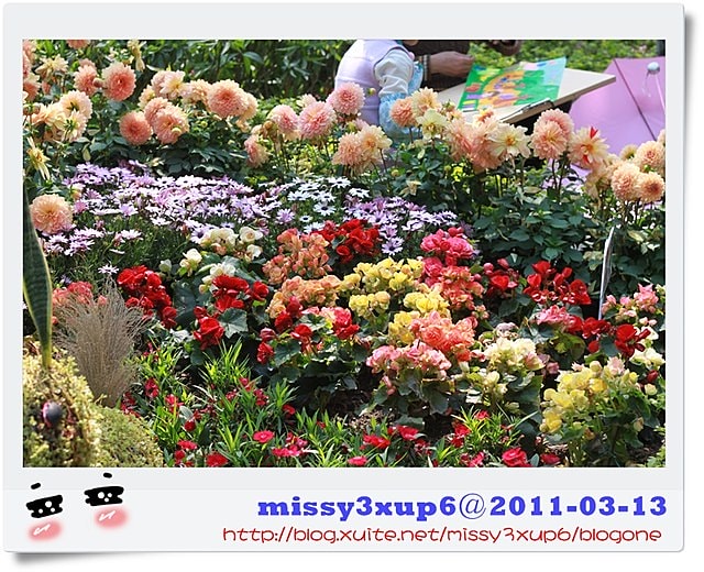 【遊記】我都腿軟了之十八尖山賞花季