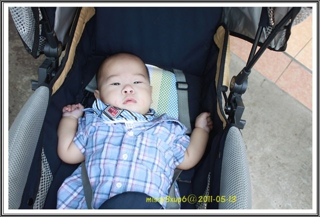 ２０１１.０５.１６遲了一步，來去客家大院賞五月雪。