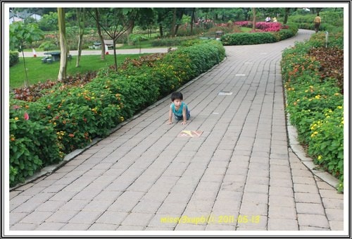 2012.01.06 雜記 - 第2張圖 2012.01.06 雜記