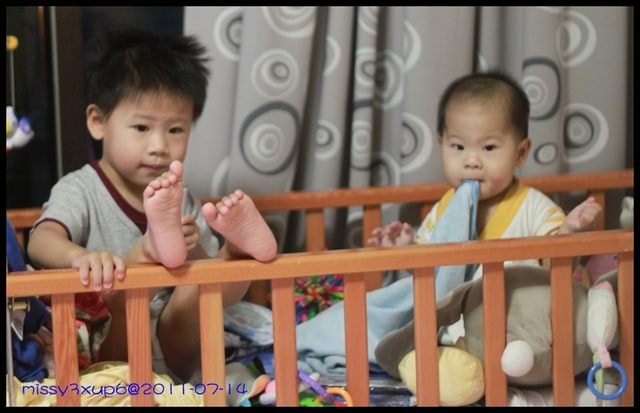 2011.07.17 2y4m7D桓+8M5d不會後悔生兩隻的情境 - 第3張圖 2011.07.17 2y4m7D桓+8M5d不會後悔生兩隻的情境