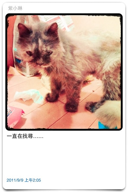 ２０１１.０９.０９　成為天使的小咪……