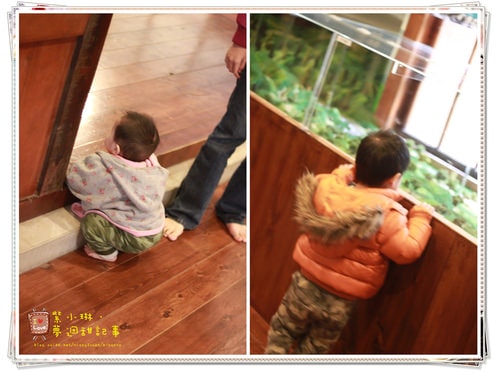 ２０１１.１２ 出遊散記，圖多