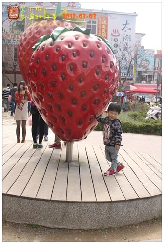 【play】2012.03 一年一度大湖採草莓去~