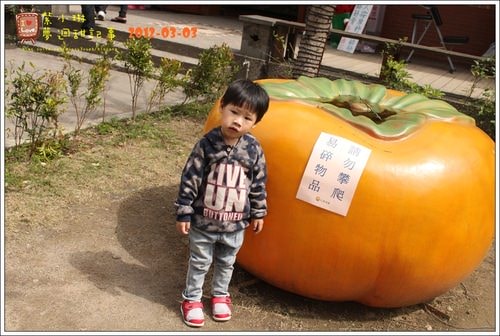 【play】2012.03 一年一度大湖採草莓去~