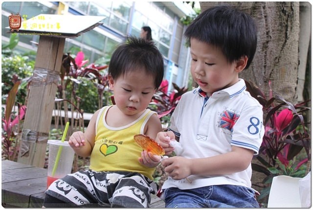 新竹動物園，草地散步去~桓3y2M愷1y6m