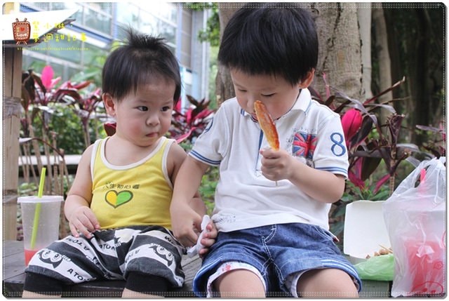 新竹動物園，草地散步去~桓3y2M愷1y6m