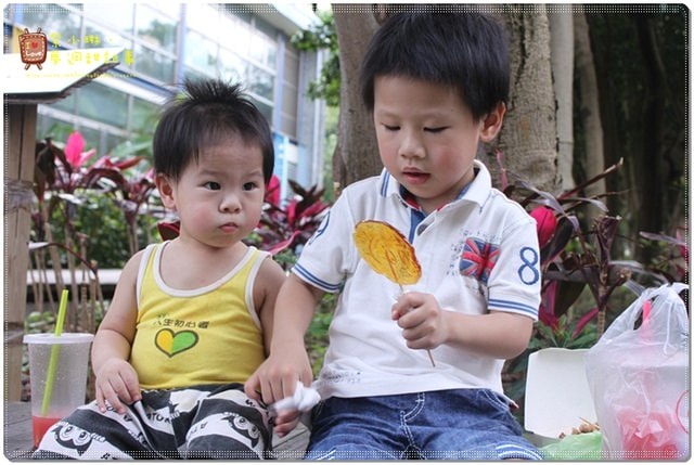 新竹動物園，草地散步去~桓3y2M愷1y6m