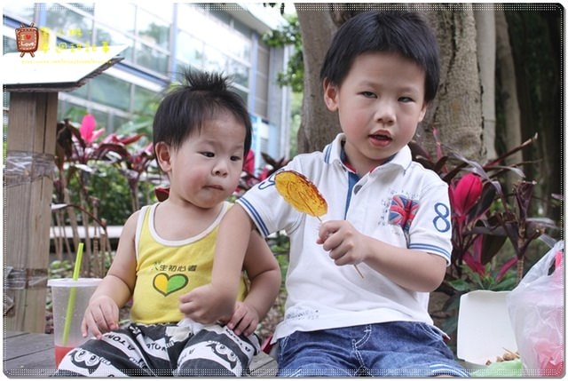 新竹動物園，草地散步去~桓3y2M愷1y6m