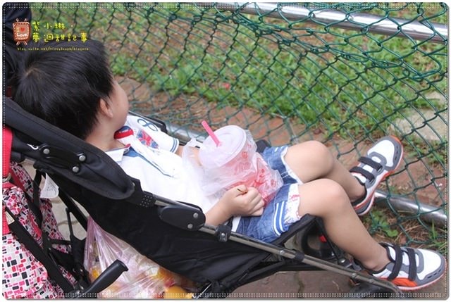 新竹動物園，草地散步去~桓3y2M愷1y6m