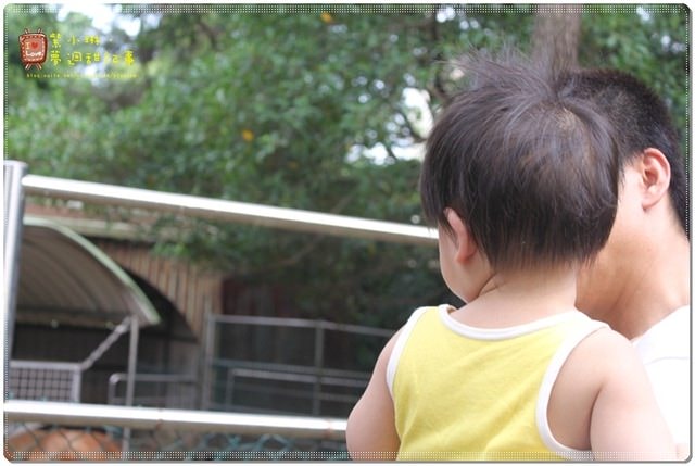 新竹動物園，草地散步去~桓3y2M愷1y6m