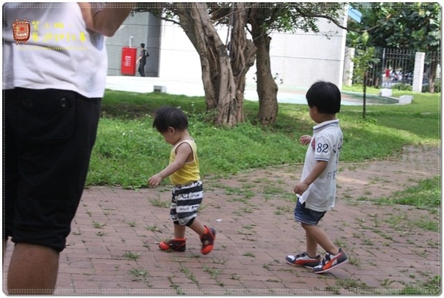 新竹動物園，草地散步去~桓3y2M愷1y6m
