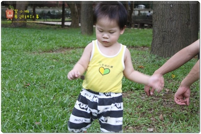 新竹動物園，草地散步去~桓3y2M愷1y6m