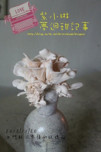 好好玩的種香菇 豐年農場+就是菇