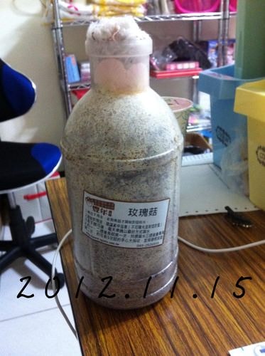 好好玩的種香菇 豐年農場+就是菇