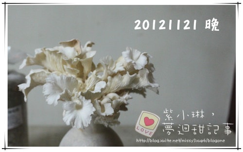 好好玩的種香菇 豐年農場+就是菇