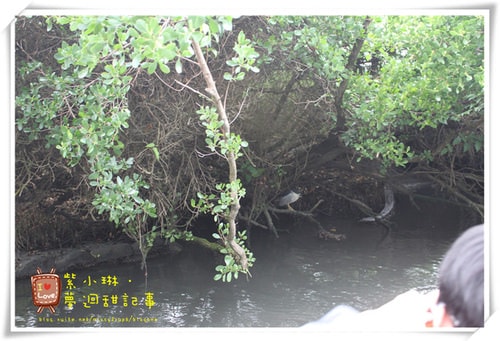 2012.12 員工旅遊之佛光山 愷2Y桓3Y8M