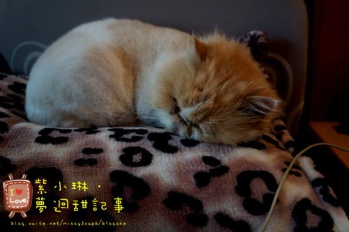 新玩具 SONY NEX-F3K 簡易心得