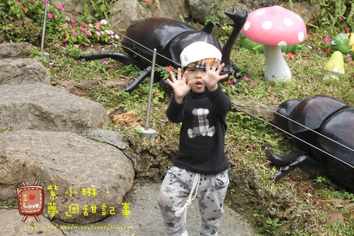 OPEN將小人國,遲來的雜記 - 第3張圖 OPEN將小人國,遲來的雜記